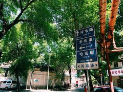 -静园(和平区)
