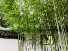 -秋霞圃