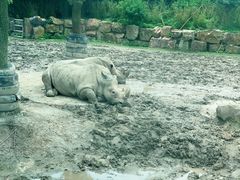 -野生动物园-停车场