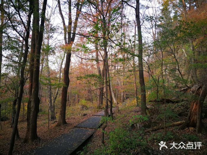 吊水壶国家森林公园图片