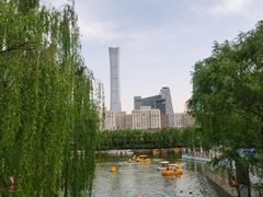-团结湖公园
