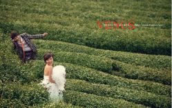 黄金湖岸之原生态茶园-维纳斯婚纱摄影(淮海中路店)