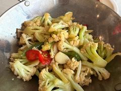 -云中小雅
