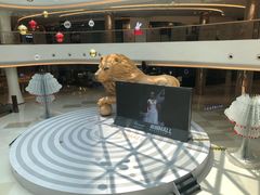-棕榈MALL