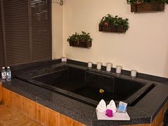 -春晖园度假酒店温泉