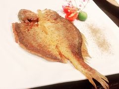 -羽山料理