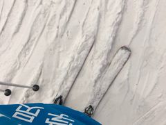 -哈尔滨热雪奇迹