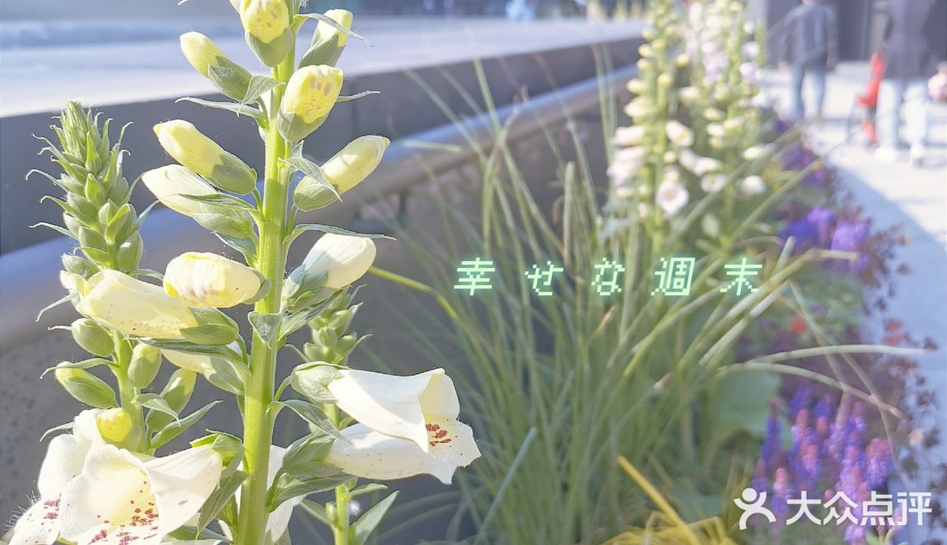 从劝业场到更新场，潮爆了，人也贼多🤪