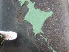 -北海道厅旧本厅舍(旧本庁舎)