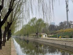 -元大都城垣遗址公园