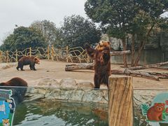 -常州淹城野生动物世界