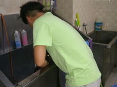 -贝妮宠物医院