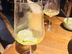 -毛辣果·酸(OHA复兴西路店)