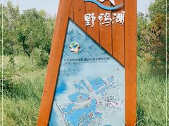 -野鸭湖国家湿地公园