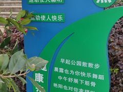 -洛龙公园