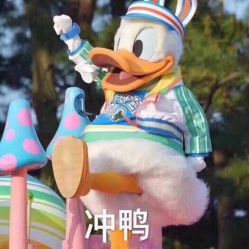 -花师傅