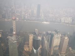 -大食代美食广场(上海中心店)