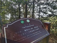 -缙云山景区
