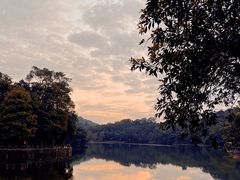 -深圳仙湖植物园