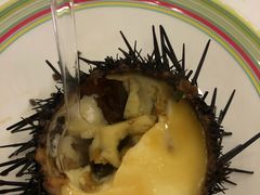 野生海胆蒸蛋-开海·红岛海鲜虾水饺(石老人店)