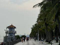 -深圳湾公园(南山区)