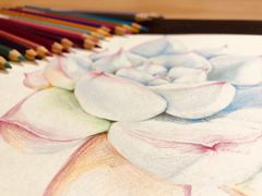 -一品格美术·中考高中成人美术培训