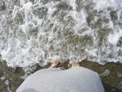 -滴水丹屏