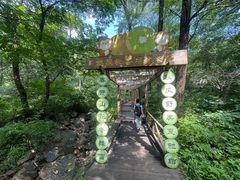 -大岭沟猕猴桃谷风景区