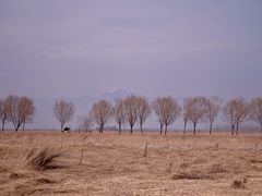 -野鸭湖国家湿地公园