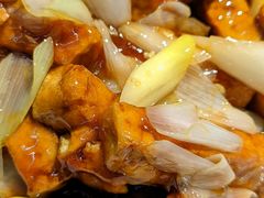 葱烧豆腐-来顺成饭庄