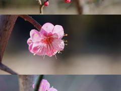 -渭滨公园