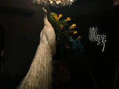 -滇野云南野生菌餐厅(陕西南路店)