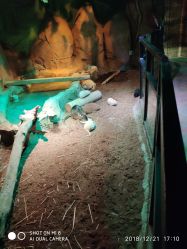 -酷嗒动物文化乐园(cutezoo西溪乐天城店)