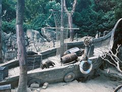 -上海野生动物园