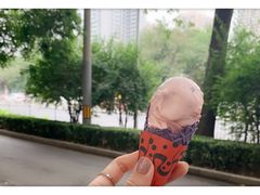 -麦当劳(农光里店)