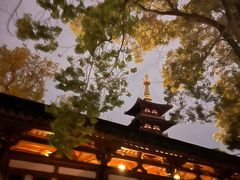 -枫桥景区