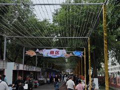 -哈尔滨道外花鸟鱼市场