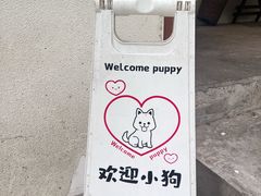 -嘁嘁茶泡饭