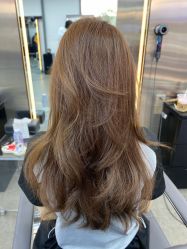 -Hair Code芭曲发型