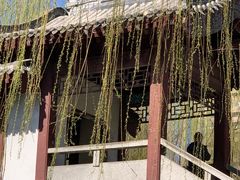 -团结湖公园