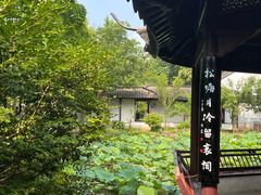 -上海醉白池公园