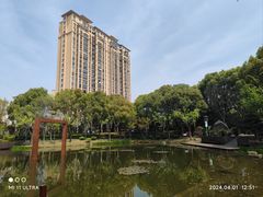 -陈家山荷花公园