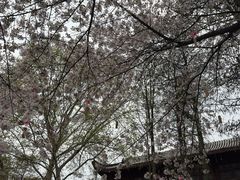 -堤角公园