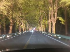 -五七小李子油焖大虾(总店)