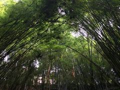 -东部华侨城