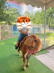 -萌宠亲子动物乐园(槐房万达店)