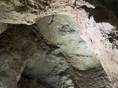 -中国西峡恐龙遗迹园