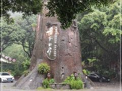 -青青世界