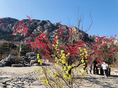 -北京凤凰岭