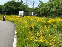 -青龙山国家森林公园